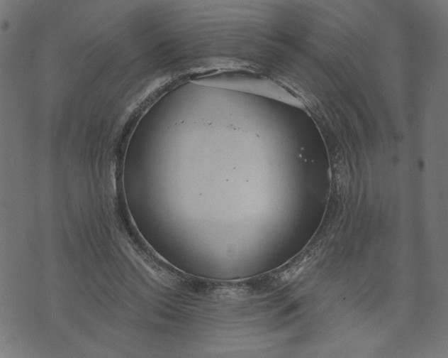 X0000070340350200606231538