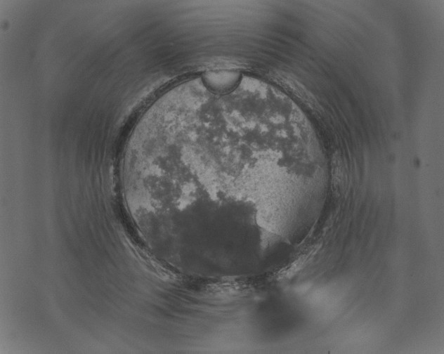 X0000070340351200606231538