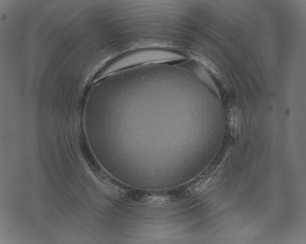 X0000070340352200606231538