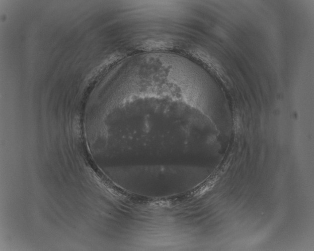 X0000070340353200606231538