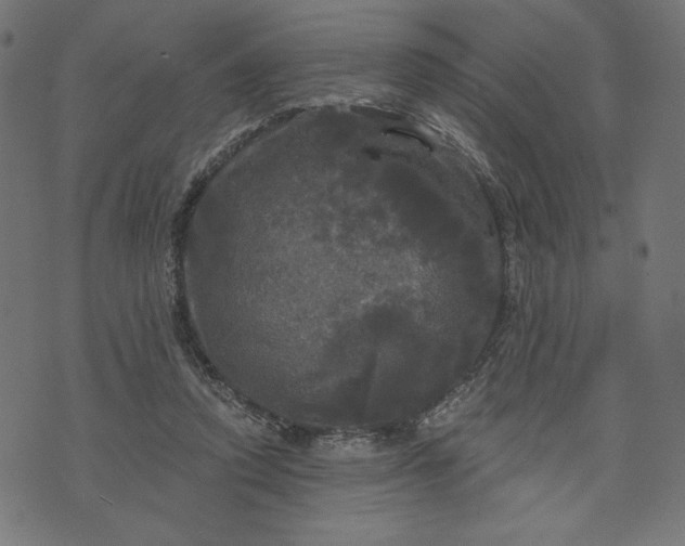 X0000070340354200606231538