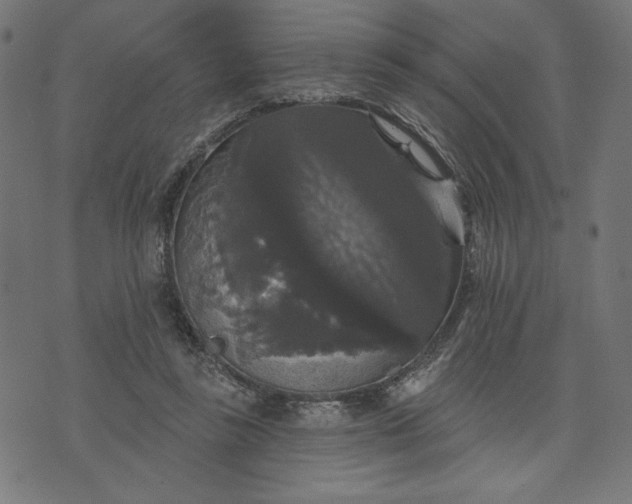 X0000070340355200606231538