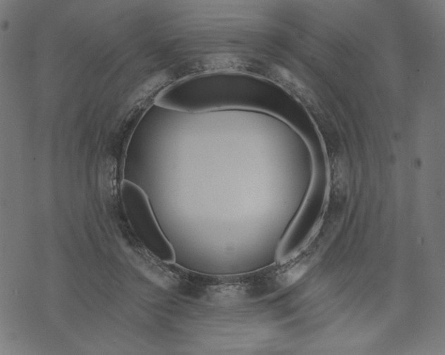 X0000070340356200606231538