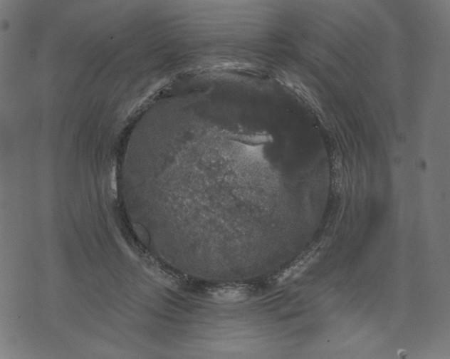 X0000070340358200606231538