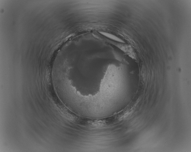 X0000070340359200606231538