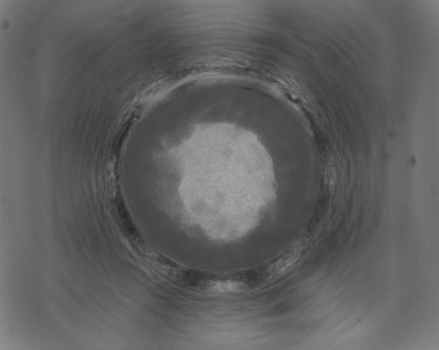 X0000070340360200606231538