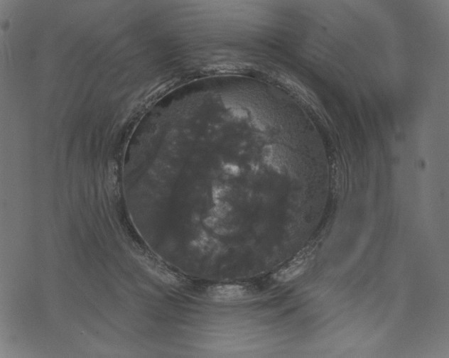 X0000070340361200606231538