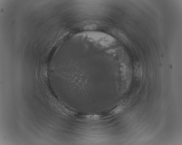 X0000070340363200606231538