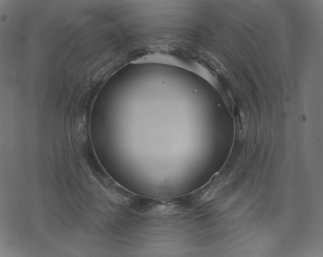 X0000070340364200606231538