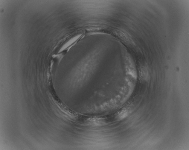 X0000070340367200606231538