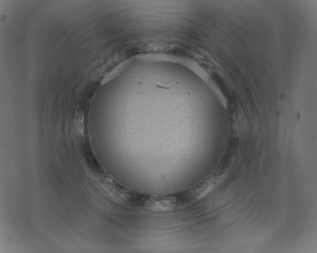 X0000070340368200606231538