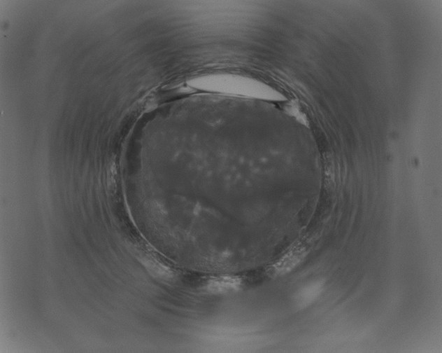 X0000070340369200606231538