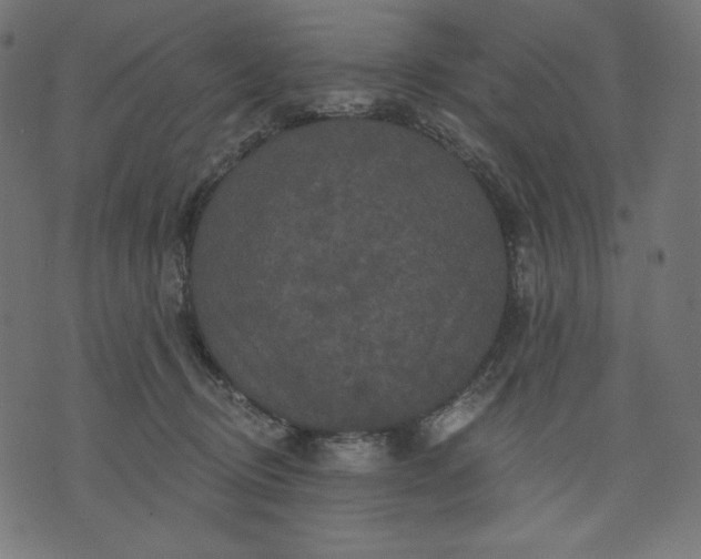 X0000070340370200606231538