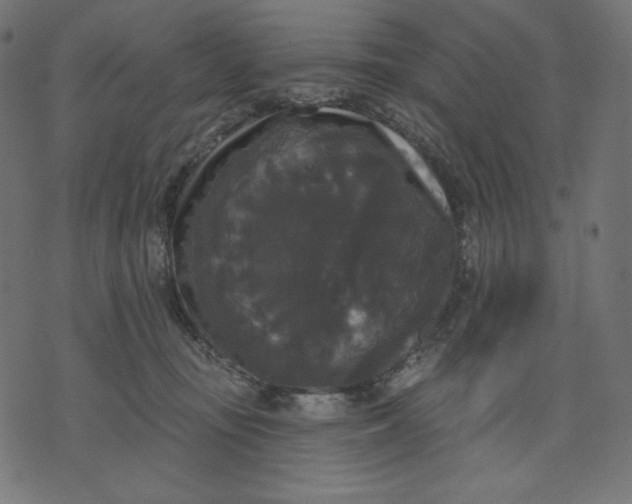 X0000070340371200606231538