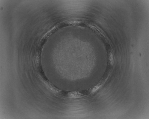 X0000070340372200606231538