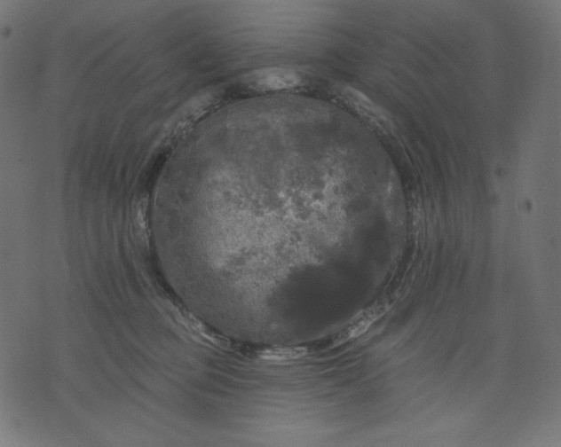 X0000070340373200606231538