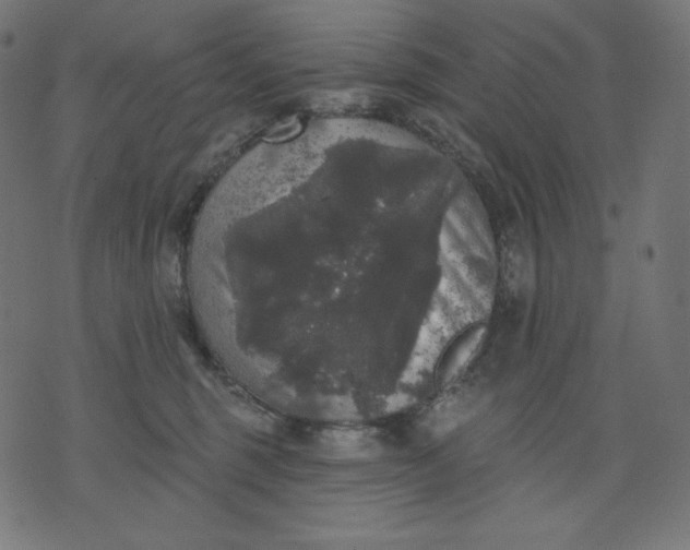 X0000070340375200606231538