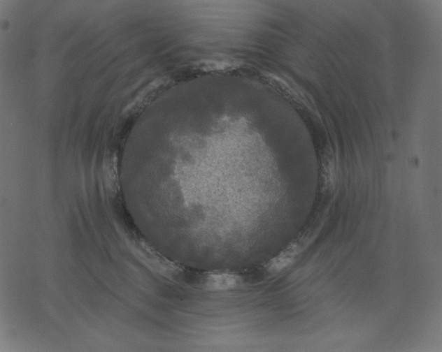 X0000070340376200606231538