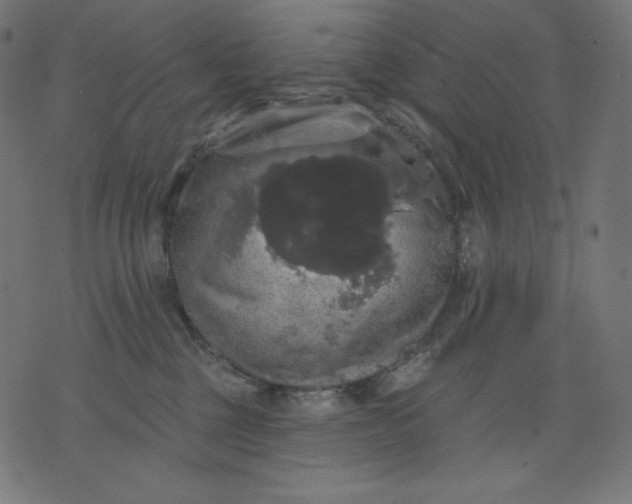 X0000070340377200606231538