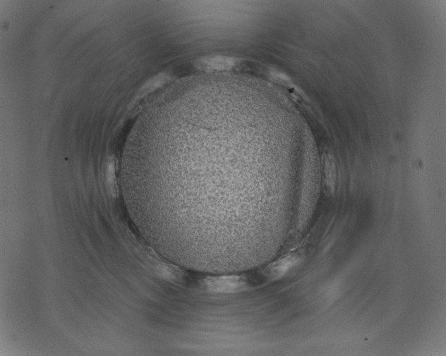 X0000070340378200606231538