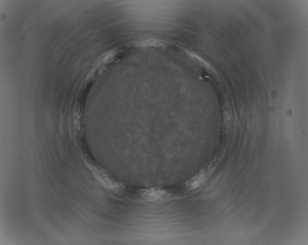 X0000070340379200606231538