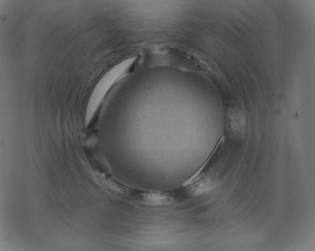 X0000070340380200606231538