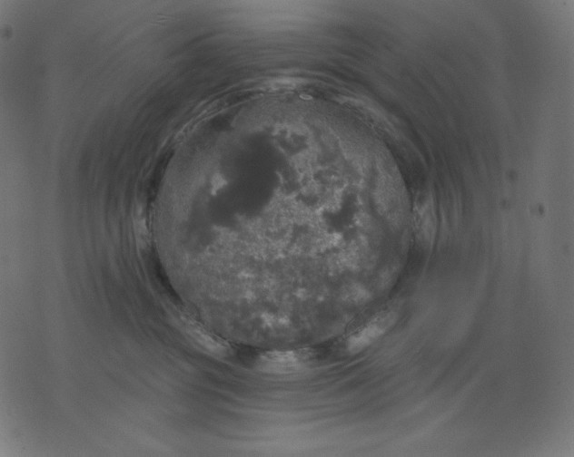 X0000070340381200606231538