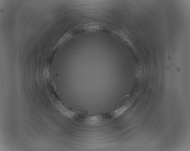 X0000070340382200606231538