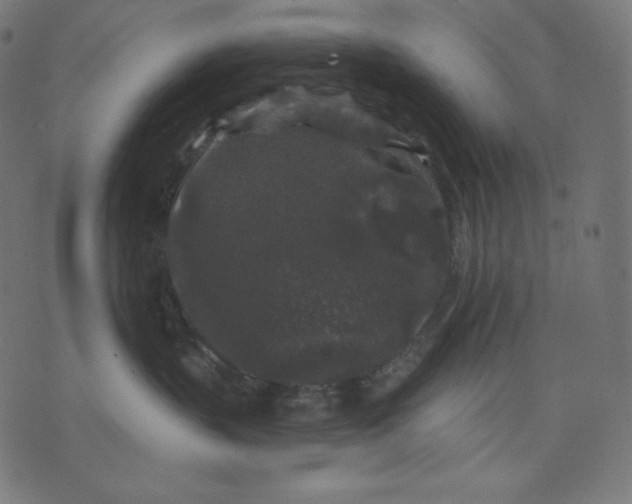 X0000070340383200606231538