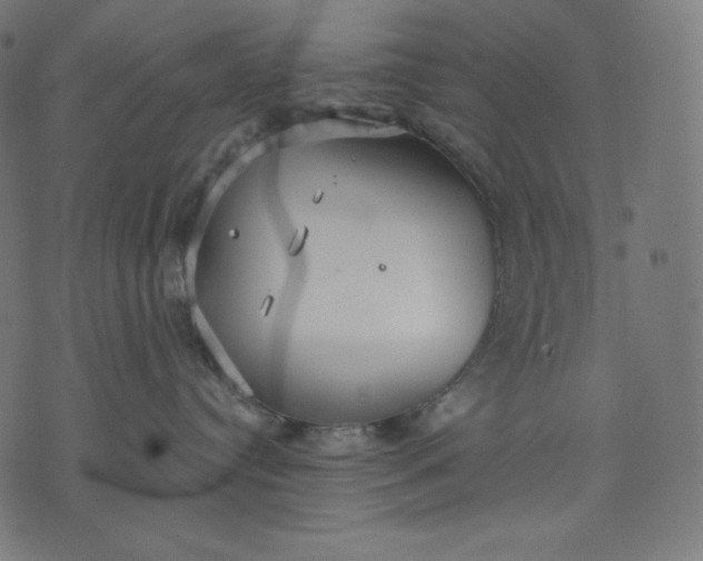 X0000070340384200606231538