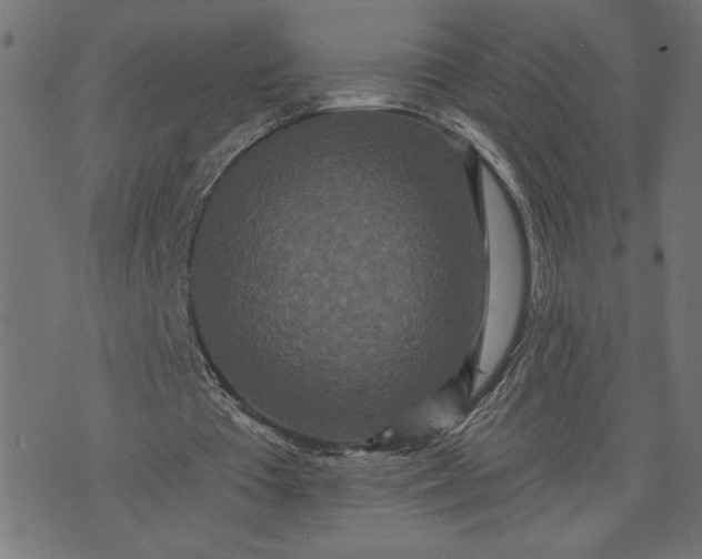 X0000070340385200606231538