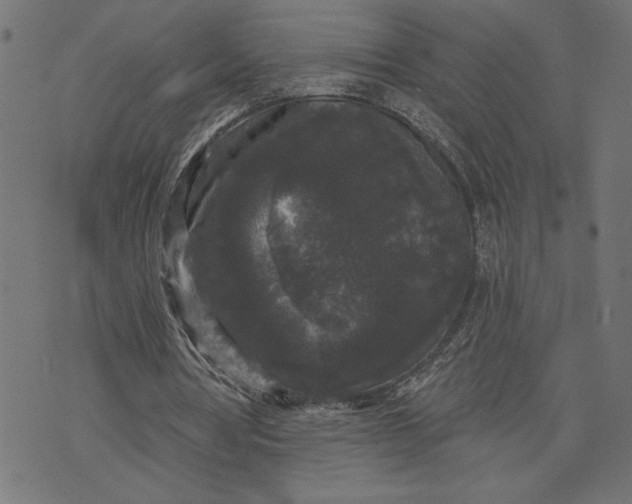 X0000070340386200606231537