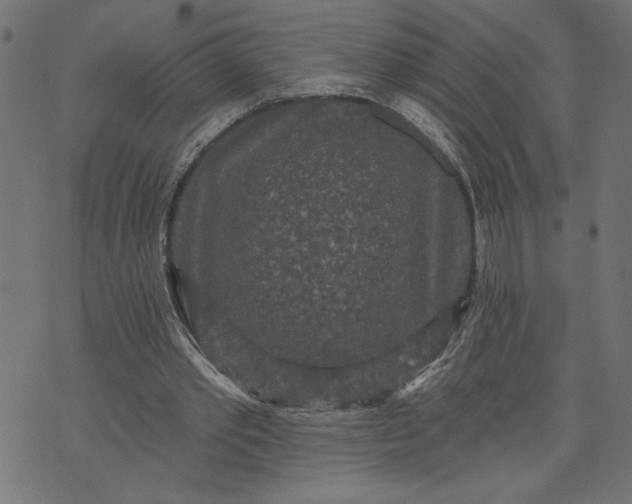 X0000070340389200606231537