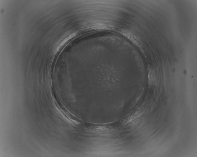 X0000070340390200606231537