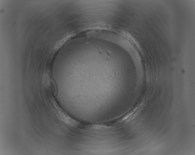 X0000070340393200606231537