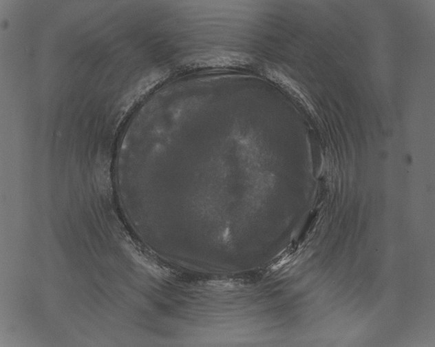 X0000070340394200606231537