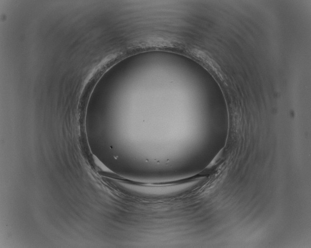 X0000070340395200606231537