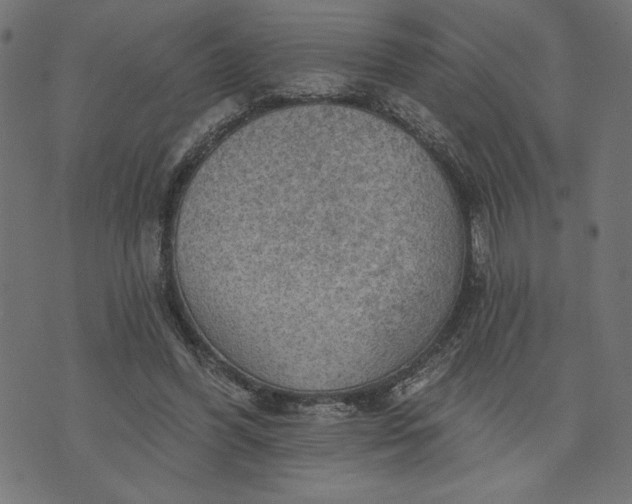 X0000070340396200606231537