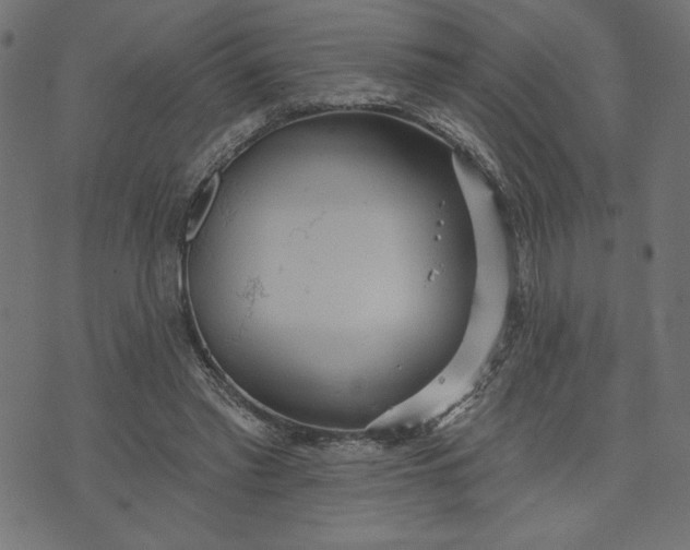 X0000070340397200606231537