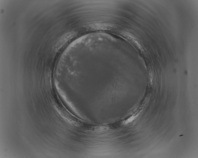 X0000070340398200606231537