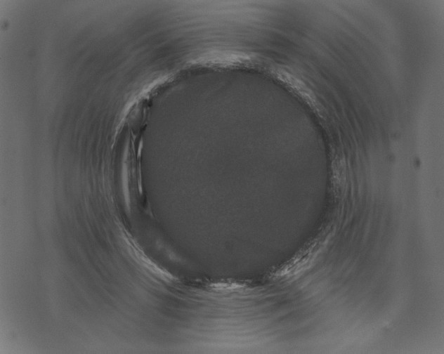 X0000070340399200606231537