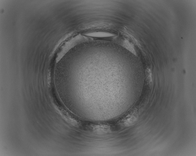 X0000070340400200606231537