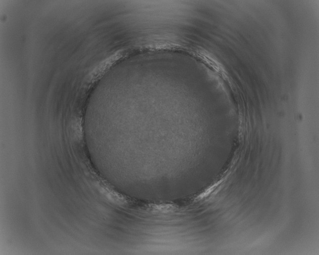 X0000070340401200606231537