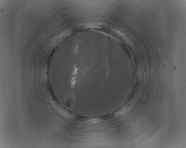 X0000070340402200606231537