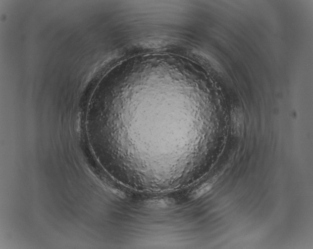 X0000070340404200606231537