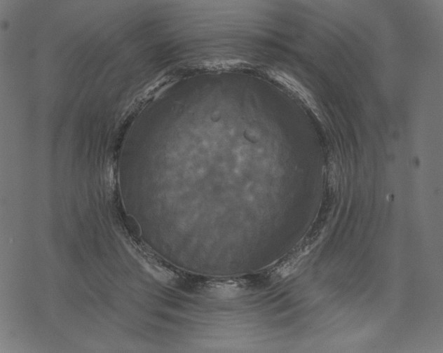 X0000070340405200606231537