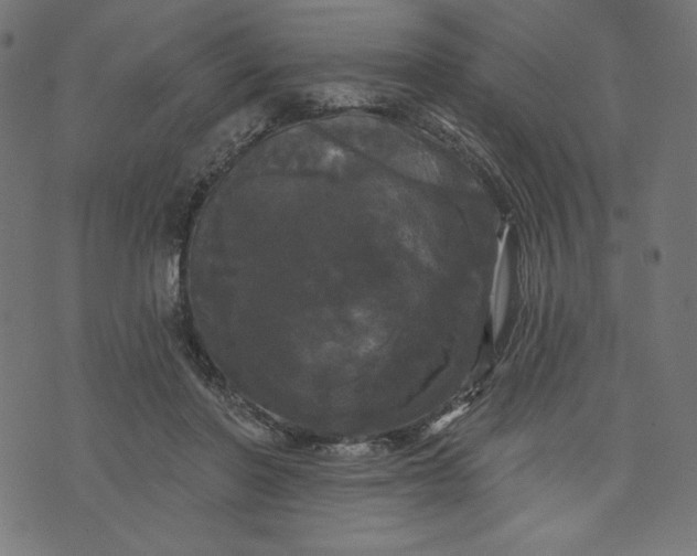 X0000070340406200606231537