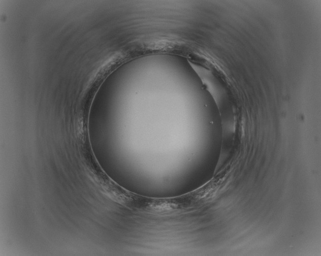 X0000070340407200606231537