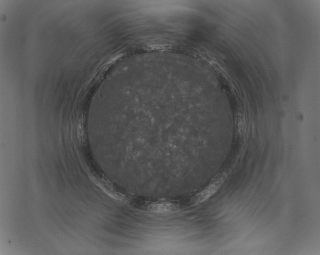 X0000070340408200606231537