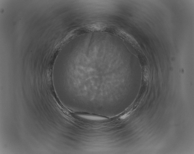 X0000070340409200606231537